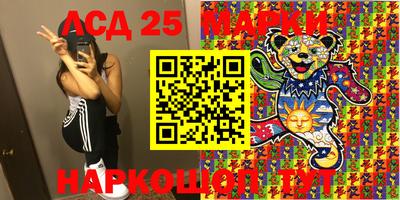 шишки Берёзовский