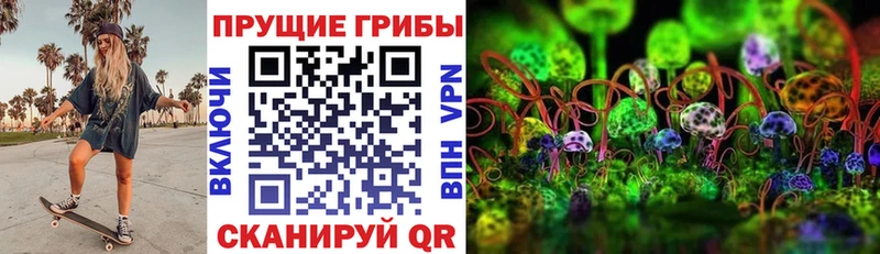 Галлюциногенные грибы GOLDEN TEACHER  Дедовск 