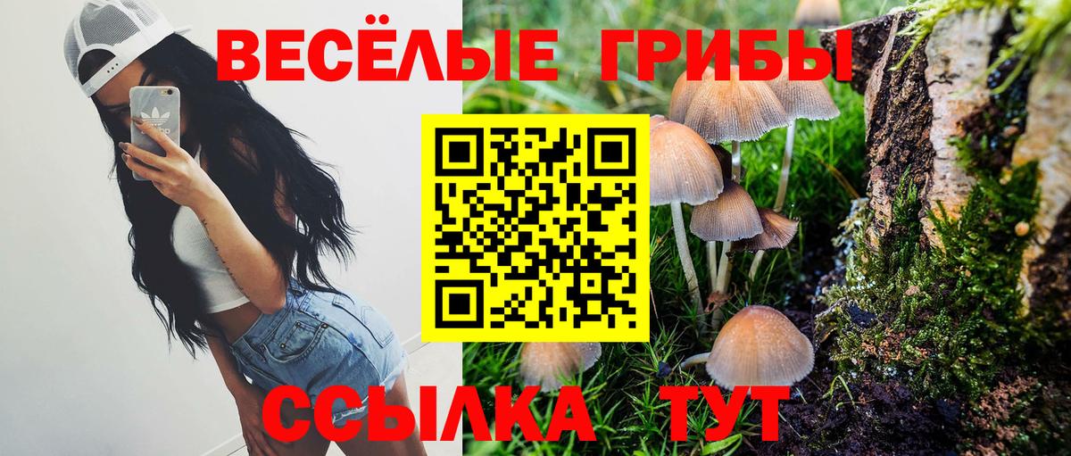 Галлюциногенные грибы Psilocybine cubensis  Галлюциногенные грибы прущие грибы  Дедовск  Вход с VPN 