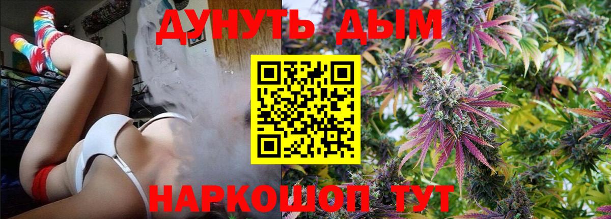 Канабис конопля Дедовск